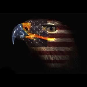 Meet your Posher, Randall